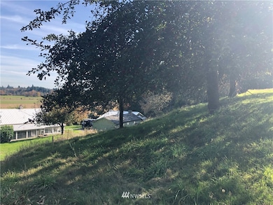 380 Newaukum Valley Rd, Chehalis, WA 98532 - photo 6