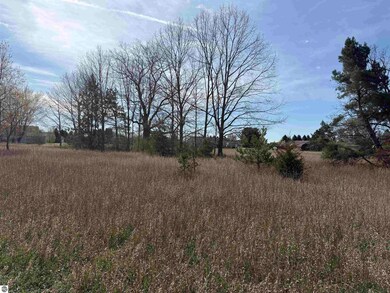 1016 Pyrenees Dr, Lake Isabella, MI 48893 - photo 3