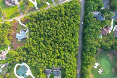 Lot 1-A Brace Dr, Pawleys Island, SC 29585 - photo 6