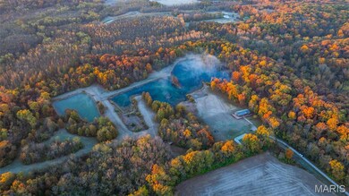 1847 Jaketown Rd, Lagrange Township, IL 62019 - photo 2