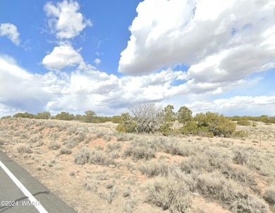 0 N 7298 Rd unit 258785, Saint Johns, AZ 85936 - photo 3