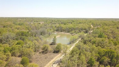 00 Jordan, Poolville, TX 76487 - photo 5