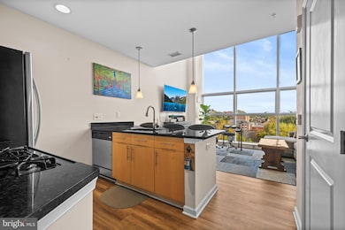 The Spectrum unit 617, Falls Church, VA 22046 - photo 6