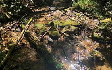 Additional View