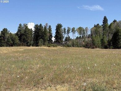 38532 Bennie Ln unit 9, Chiloquin, OR 97624 - photo 5
