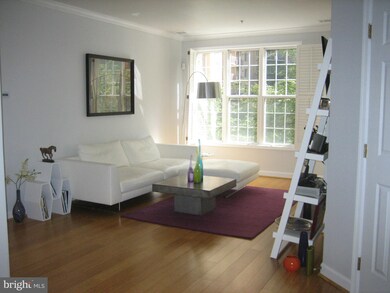 1320 N Wayne St unit 201, Arlington, VA 22201 - photo 3