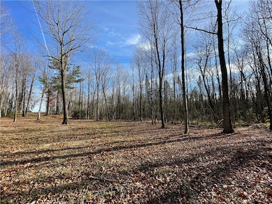 0 Willy Rd, Big Bend, WI 54895 - photo 3