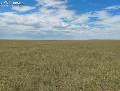 Parcel 16 Squirrel Creek Rd, Colorado Springs, CO 80928 - photo 5