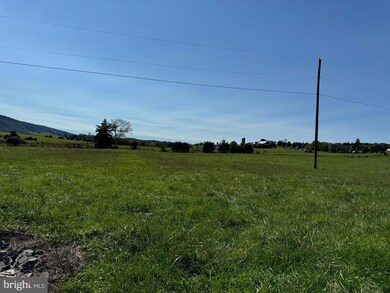 0 Forman Rd, Lahmansville, WV 26731 - photo 7