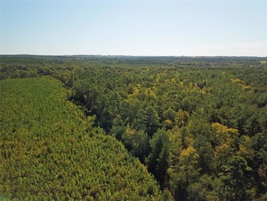 TBD Farm To Market Road 698, Nacogdoches, TX 75964 - photo 6