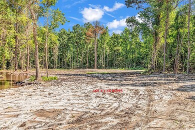 TBB4 Coats Rd unit Lot 4, Loris, SC 29569 - photo 5