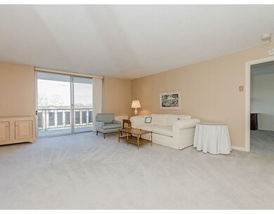 Imperial Towers unit 612, Chestnut Hill, MA 02467 - photo 6