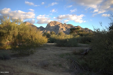 54 E Loch Lomond Place unit 4, Oro Valley, AZ 85737 - photo 5
