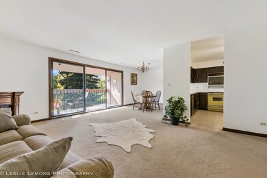 15W341 81st St unit 1-4, Burr Ridge, IL 60527 - photo 4