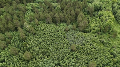 0 Dana Rd, Barnes, WI 54873 - photo 7