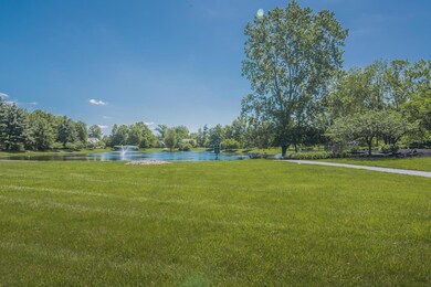 Harrison Pond View acrros street