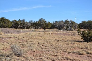 DSC_0975 (800x533)