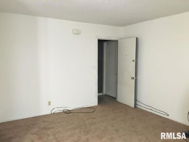 5119 N Ripley C-12 St, Davenport, IA 52806 - photo 6