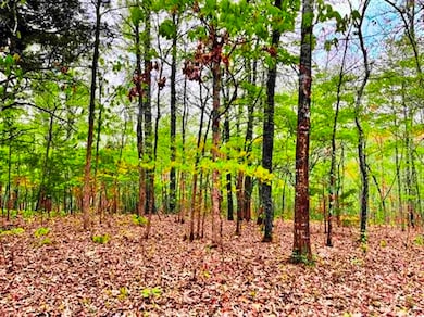 0 Timbercrest Rd, Viola, AR 72583 - photo 3