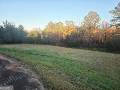 1390 Oconee Rd, Buckhead, GA 30625 - photo 5