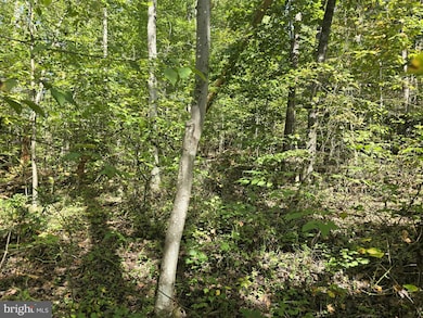 0 Poor House Rd unit VAMA2002480, Madison, VA 22727 - photo 3