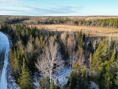 Lot 4-1 Butterfield Ridge Rd, Woodville, ME 04457 - photo 5