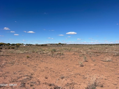 000 S Bourdon Ranch, Taylor, AZ 85939 - photo 5