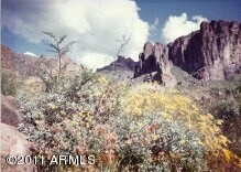 mountain with flowers