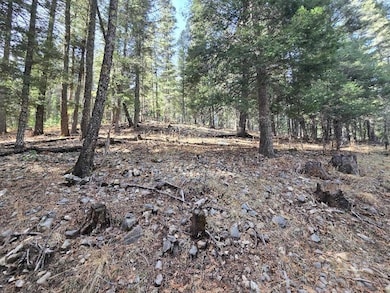 0 Gold Nuggett Alley unit 2 170304, Cloudcroft, NM 88317 - photo 4