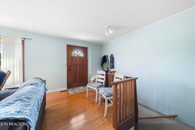 325 Beal Woods Dr, Sevierville, TN 37862 - photo 4