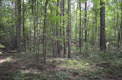 0 Dyson Dr unit TBD Dyson 2519207, Mebane, NC 27302 - photo 7