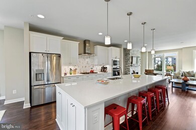 1201 White Feldspar Terrace SE, Leesburg, VA 20175 - photo 3