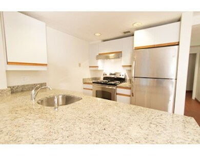 12 Greenough Ln unit L1, Boston, MA 02113 - photo 5