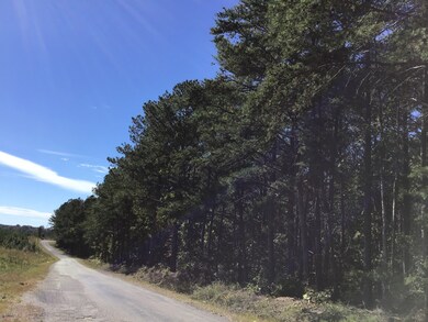 0 Carter Hollow Rd unit 2137061, Linden, TN 37096 - photo 2