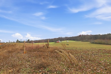 5.01 ac Ada St, Blue Ridge, GA 30513 - photo 5