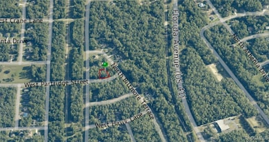 1415 W Partridge St, Citrus Springs, FL 34434 - photo 3