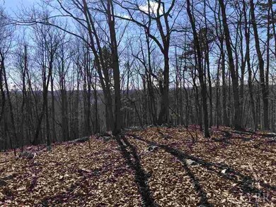 0 Norwood Rd unit 323358, Norwood, VA 24581 - photo 5