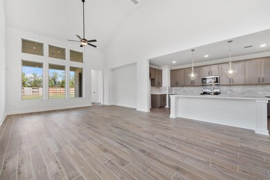 27119 Coneflower Daisy Way, Hockley, TX 77447 - photo 7