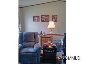 Living room vaulted ceiling