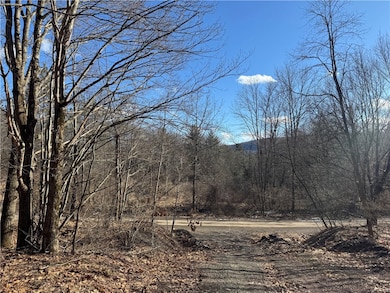 0 Patent Line Rd unit R1591298, Sidney, NY 13775 - photo 5