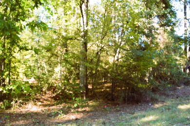Mostly wooded lot with a mix of hardwoods and some pine