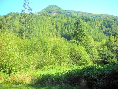 17525 Crest View Lane Acreage - Nehalem