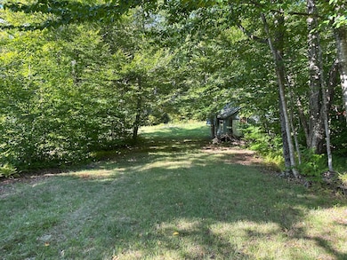 1028 Goodnow Flow Rd, Newcomb, NY 12852 - photo 6