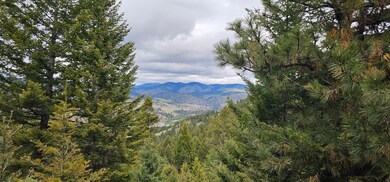 3 Tract Bull Elk, Drummond, MT 59832 - photo 4