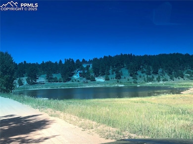 662 Spring Valley Ln, Florissant, CO 80816 - photo 7