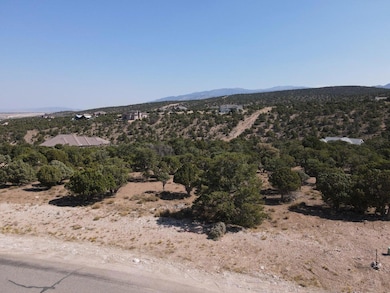 1095 S Panorama Dr, Cedar City, UT 84720 - photo 4