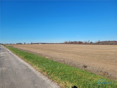 6 W Walbridge Rd, Martin, OH 43445 - photo 3