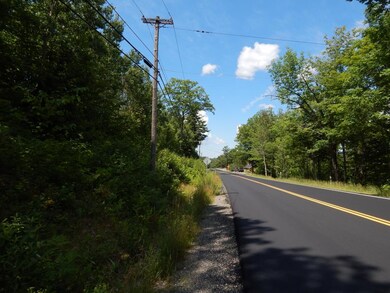 Lot 1 Main St, Springfield, NH 03284 - photo 7