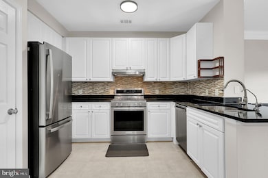 The Fitz at Rockville Town Center, Rockville, MD 20850 - photo 6