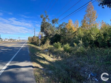 0 S Hwy 71 unit 18813202, Marianna, FL 32448 - photo 7